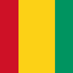 Guinea Flag Printed Nylon 3' x 5' with strong canvas header and brass grommets, featuring durable UV-resistant material for indoor or outdoor use.