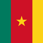 Cameroon Flag Printed Nylon 3' x 5' with canvas header and brass grommets, designed for outdoor use and features digital acid dye printing for durability.