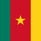 Cameroon Flag Printed Nylon 3' x 5' with canvas header and brass grommets, designed for outdoor use and features digital acid dye printing for durability.