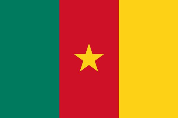 Cameroon Flag Printed Nylon 3' x 5' with canvas header and brass grommets, designed for outdoor use and features digital acid dye printing for durability.