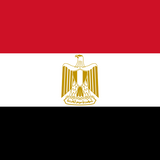 Egypt Flag Printed Nylon 3' x 5' featuring a logo and strong construction with brass grommets for outdoor use.