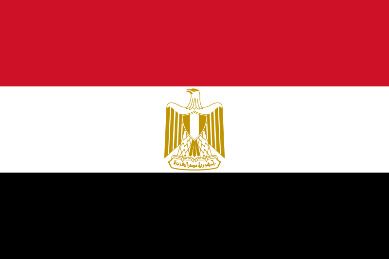 Egypt Flag Printed Nylon 3' x 5' featuring a logo and strong construction with brass grommets for outdoor use.