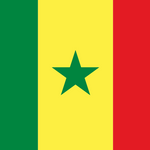 Senegal Flag Printed Nylon 3' x 5' featuring a green star on a yellow background, suitable for indoor or outdoor use with strong canvas header and brass grommets.