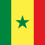 Senegal Flag Printed Nylon 3' x 5' featuring a green star on a yellow background, suitable for indoor or outdoor use with strong canvas header and brass grommets.