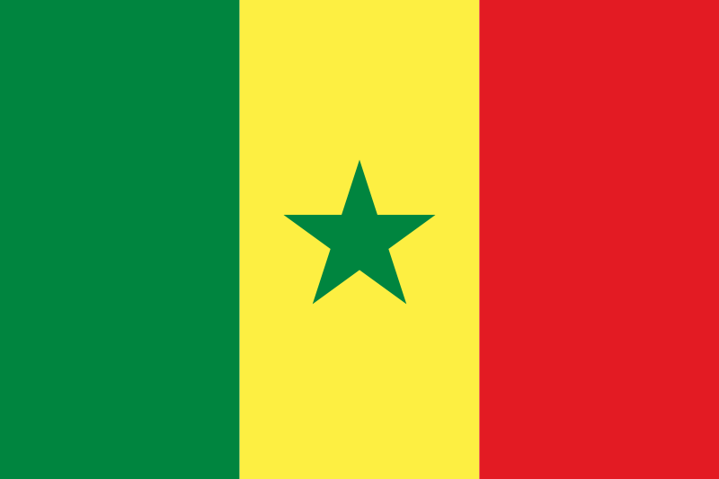 Senegal Flag Printed Nylon 3' x 5' featuring a green star on a yellow background, suitable for indoor or outdoor use with strong canvas header and brass grommets.