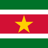 Suriname Flag Printed Nylon 3' x 5' featuring a star, designed for indoor or outdoor use with durable materials and strong canvas header with brass grommets.