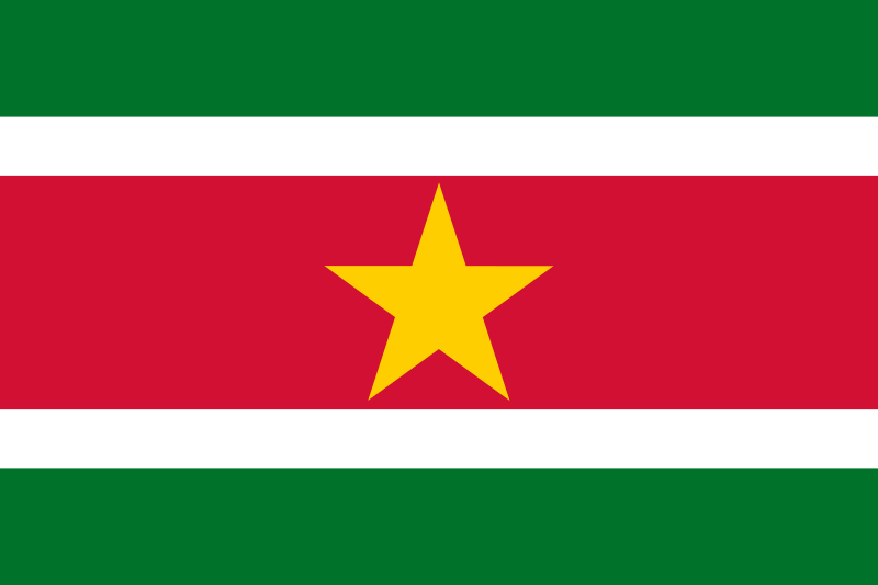 Suriname Flag Printed Nylon 3' x 5' featuring a star, designed for indoor or outdoor use with durable materials and strong canvas header with brass grommets.