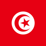 Tunisia Flag Printed Nylon 3' x 5', featuring a red background with a white circle, star, and crescent moon, equipped with brass grommets for durability.