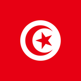 Tunisia Flag Printed Nylon 3' x 5', featuring a red background with a white circle, star, and crescent moon, equipped with brass grommets for durability.