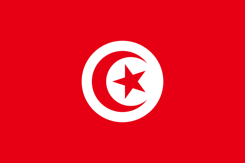 Tunisia Flag Printed Nylon 3' x 5', featuring a red background with a white circle, star, and crescent moon, equipped with brass grommets for durability.