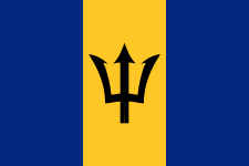 Barbados Courtesy Flag 12 x 18 Nylon with a black trident on a yellow and blue background, featuring marine-grade solarmax nylon and brass grommets.