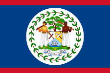 Belize Courtesy Flag 12 x 18 featuring two men holding bats in a blue and white circle, made of durable Marine-grade nylon with brass grommets.