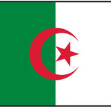 Algeria Flag Printed Nylon 3' x 5' with crescent and star, strong canvas header, and brass grommets for indoor or outdoor use.