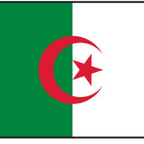 Algeria Flag Printed Nylon 3' x 5': A flag featuring a crescent moon and star, designed for outdoor use with durable materials and strong canvas header.