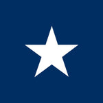 Bonnie Blue Historic US Flag 3' x 5' Printed Nylon featuring a single white star on a blue field, made of heavyweight nylon with brass grommets.