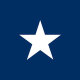 Bonnie Blue Historic US Flag 3' x 5' Printed Nylon featuring a single white star on a blue field, made of heavyweight nylon with brass grommets.