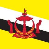 Brunei Flag Printed Nylon 3' x 5' featuring strong canvas header, brass grommets, and lock-stitched edges for indoor or outdoor use.