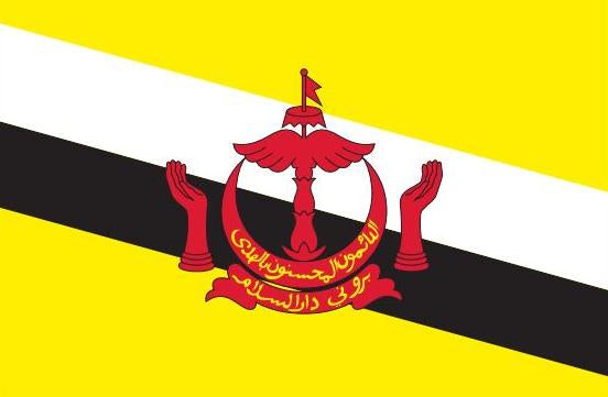 Brunei Flag Printed Nylon 3' x 5' featuring strong canvas header, brass grommets, and lock-stitched edges for indoor or outdoor use.