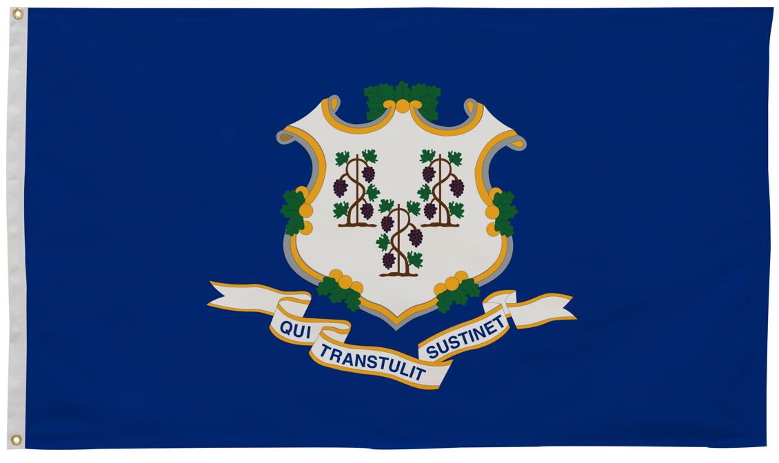 Connecticut State Flag 6' x 10' Printed Nylon, featuring a blue and white design with a white emblem, suitable for outdoor use with brass grommets.