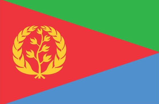 Eritrea Flag Printed Nylon 3' x 5', featuring a yellow leafy emblem, strong canvas header, brass grommets, and UV-resistant nylon for outdoor use.