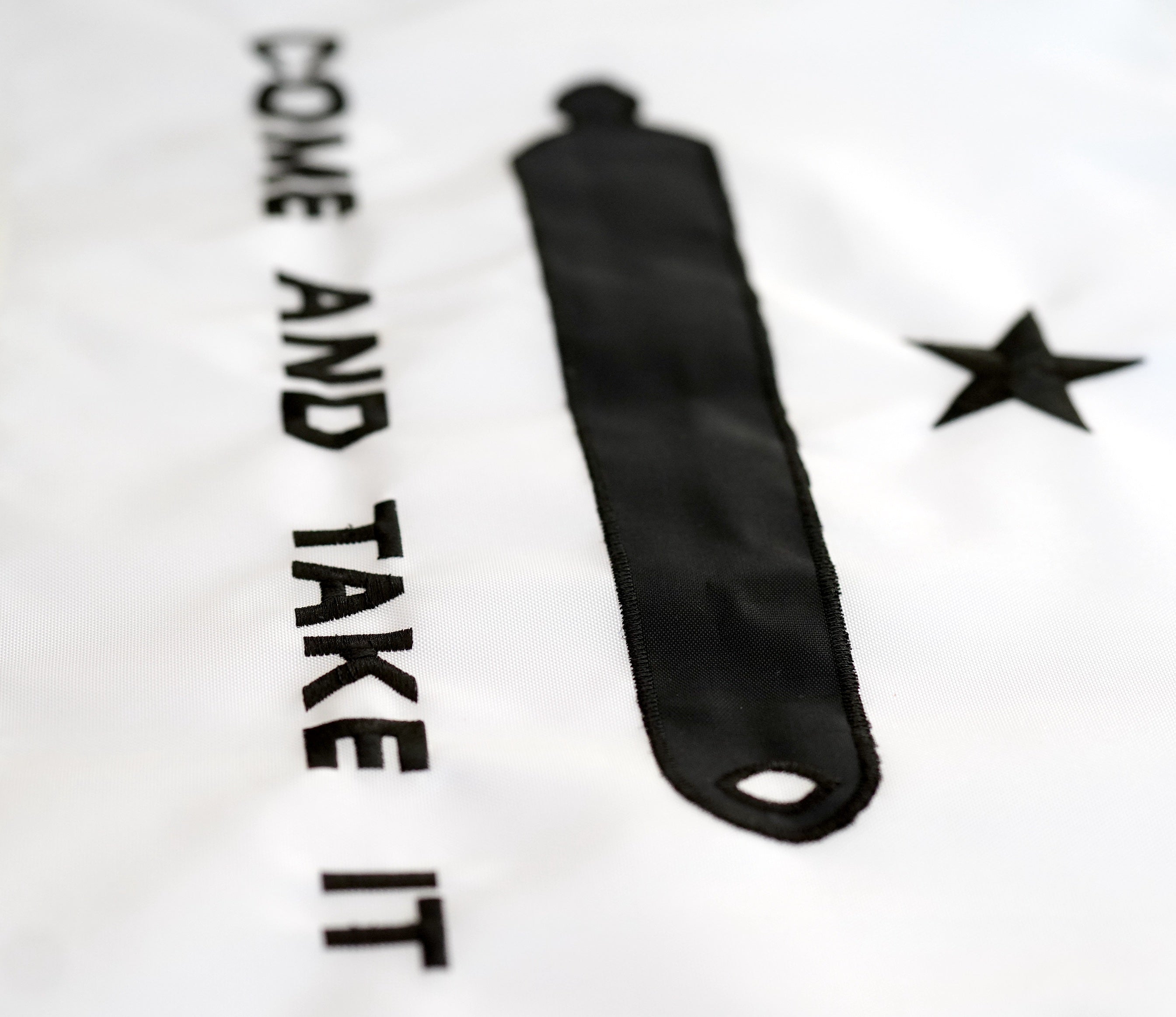 Come and Take It Flag 12" x 18"