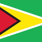 Guyana Flag Printed Nylon 3' x 5', featuring a strong canvas header, two brass grommets, and UV-resistant digital print, suitable for indoor or outdoor use.