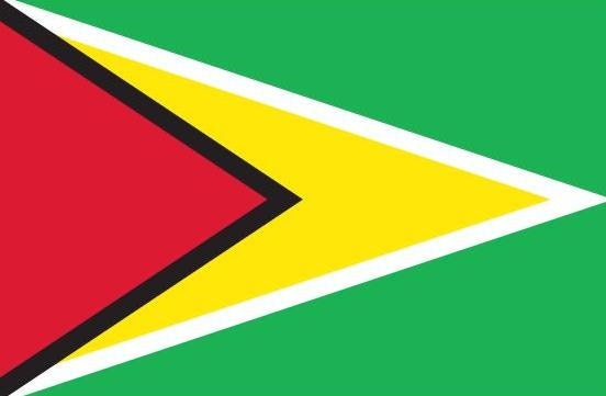 Guyana Flag Printed Nylon 3' x 5', featuring a strong canvas header, two brass grommets, and UV-resistant digital print, suitable for indoor or outdoor use.