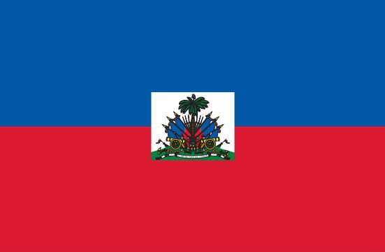 Haiti Flag Printed Nylon 3' x 5' displayed with a detailed palm tree and weapon emblem, featuring durable materials and strong construction for indoor or outdoor use.