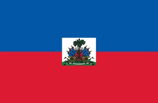 Haiti Flag Printed Nylon 3' x 5' with a palm tree and weapons emblem, durable for outdoor use, featuring strong canvas header and brass grommets.