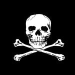 Jolly Roger Pirate Flag 12 x 18 Printed Nylon featuring a skull and crossbones design, with canvas header and brass grommets for durability.