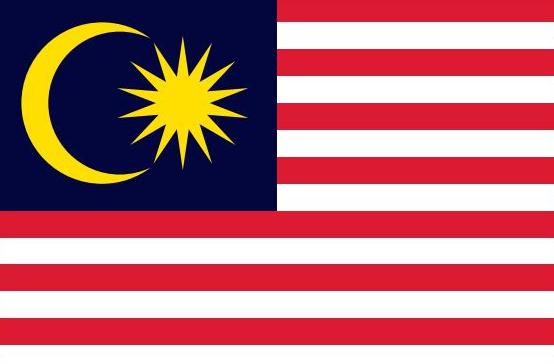 Malaysia Flag Printed Nylon 3' x 5' featuring a yellow crescent and star, designed for outdoor use with durable materials and strong brass grommets.