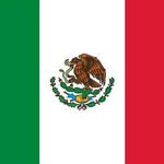 Mexico Flag Indoor Printed Nylon with Pole Sleeve 4' x 6', featuring a detailed eagle holding a snake on red, white, and green stripes.