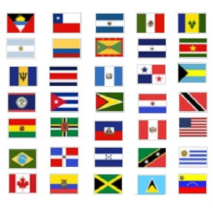 Complete Set of 35 OAS Member Nation's Flags 3' x 5' Nylon, displayed together, each flag adhering to official design specifications with strong canvas headers and brass grommets.