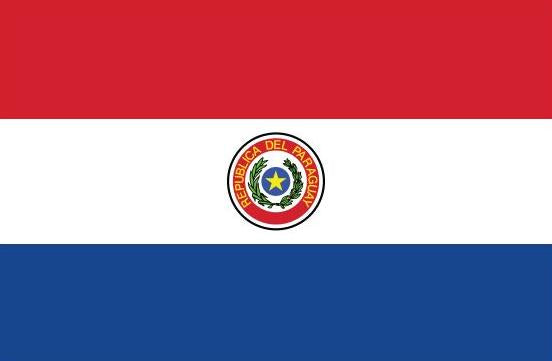 Paraguay Flag Printed Nylon 3' x 5' with red, white, and blue design, featuring a circle with stars, strong canvas header, and brass grommets.