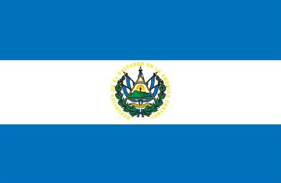 El Salvador Flag Printed Nylon 5' x 8', featuring a green emblem, canvas header, and brass grommets, designed for indoor or outdoor use.