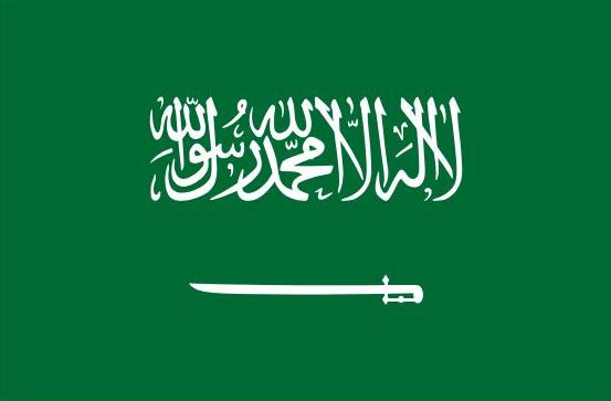 Saudi Arabia Flag Printed Nylon 3' x 5', featuring white text and symbols on a green background, with brass grommets and strong canvas header for outdoor use.