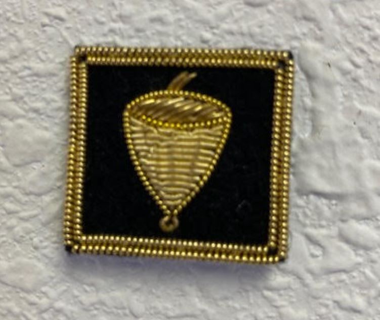 Treasurer Yacht Club Officer Insignia Pin featuring a gold acorn emblem on black felt, outlined with gold bullion wire and a pin back.