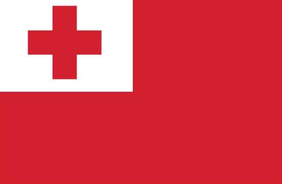 Tonga Flag Printed Nylon 3' x 5', featuring a red cross on a white background, designed for outdoor use with strong canvas header and brass grommets.