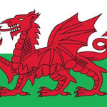 Wales Flag Printed Nylon 3' x 5' with red dragon design, strong canvas header, brass grommets, and UV resistant fabric for indoor or outdoor use.