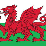 Wales Flag Printed Nylon 3' x 5' with red dragon design, strong canvas header, brass grommets, and UV resistant fabric for indoor or outdoor use.